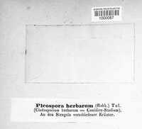 Image Associated With the Occurence